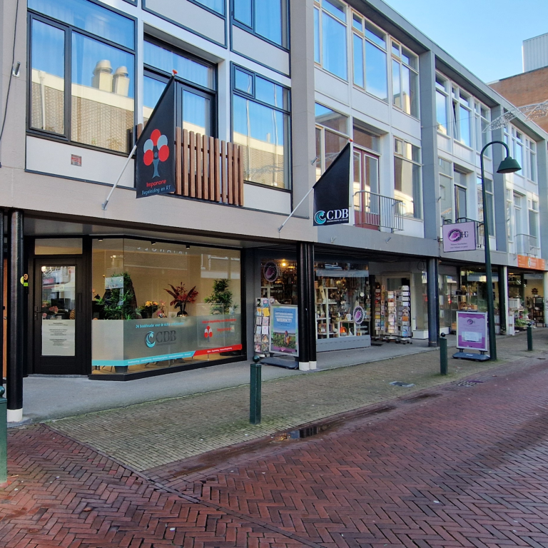 Inkomstenbelasting particulieren (bewoners) - CDB Administratie- en Accountantskantoor - 2025