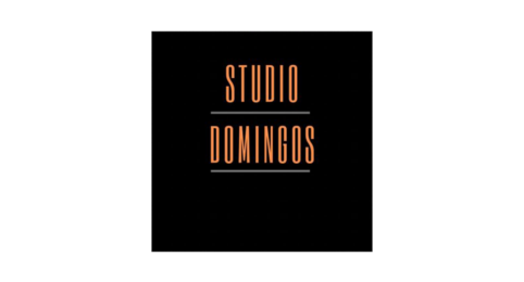 Sportschool Studio Domingos - Entjes Administratie & Advies - 2024